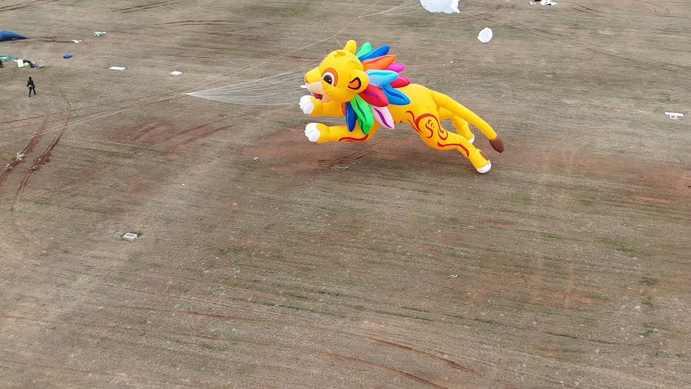 周口市品牌风筝定制风筝制作 - 方案