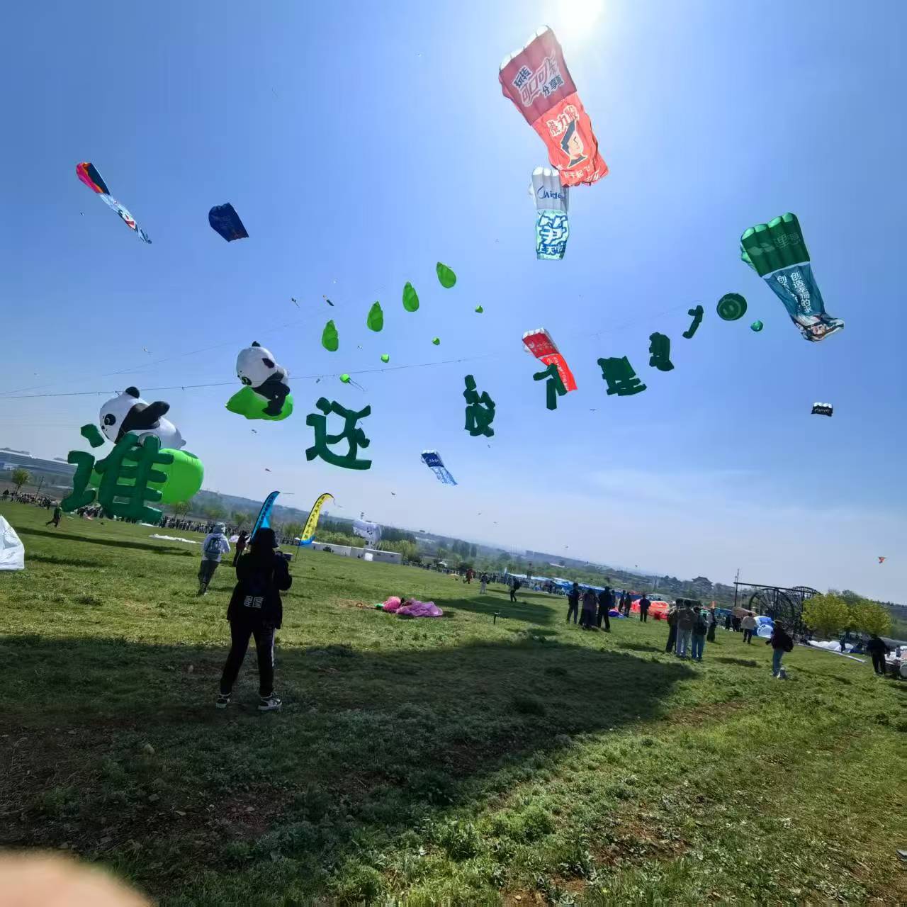 周口市宣传风筝定制风筝定制 - 厂家